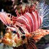 AQUARIA KLCC - Image 12